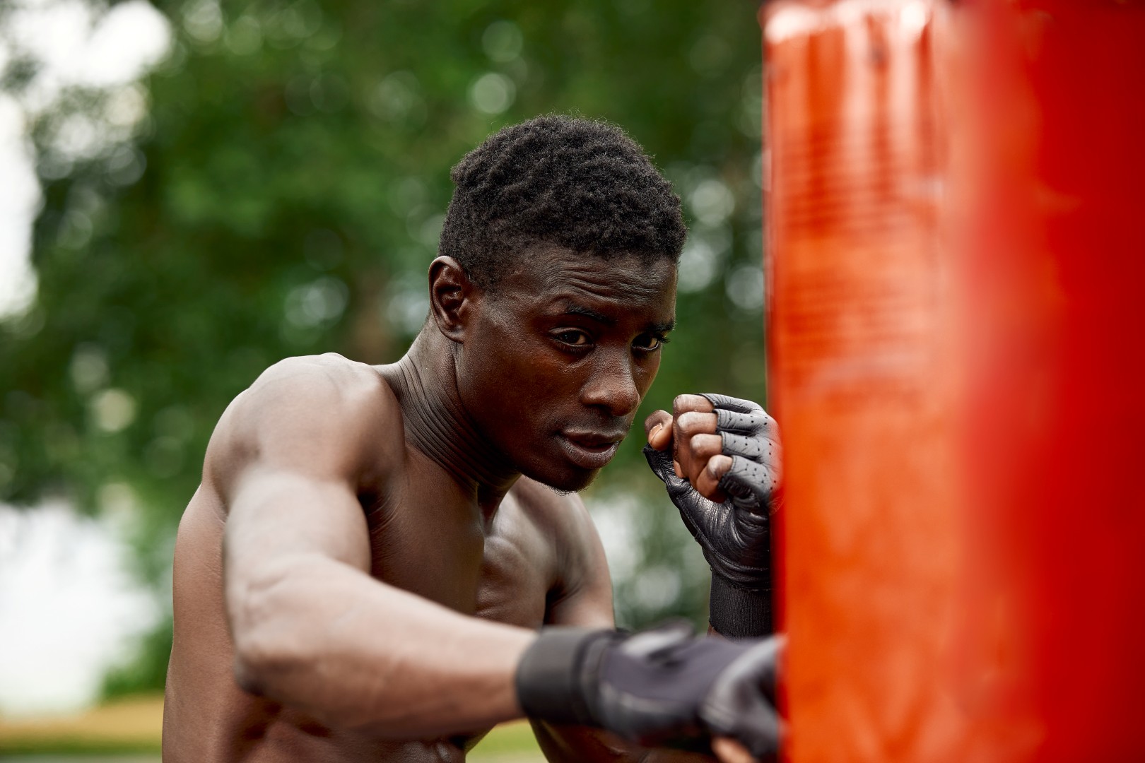 Front view of muscular black boxer punching towards camera with a deep and intense face outdoor. Boxing and Training Concept.